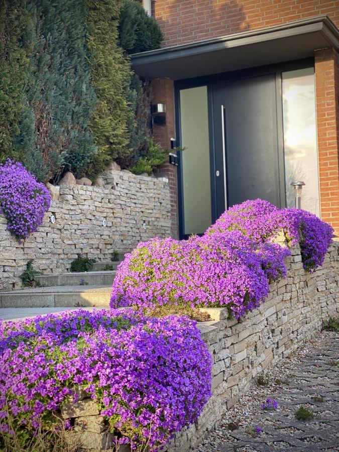 Fewo Seeblick - Familien - Hunde - Strandnah - Ostseeblick - Sauna & Wellness Sierksdorf Esterno foto
